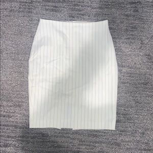 Business pencil skirt